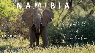 NAMIBIA 2024  EXPECT THE UNEXPECTED  EPISODE 5  BAGATELLE amp TIMBILA [upl. by Janella]