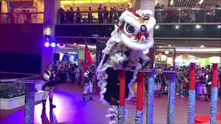 2023 Barongsai Lion Dance Grand Indonesia Mall Jakarta Indonesia [upl. by Burg]