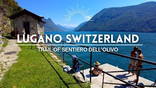 The Best Lugano Switzerland hiking trail  TRAIL OF SENTIERO DELL’OLÍVO [upl. by Brouwer]