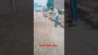 Jinda bach gya shorts shortvideos viral army [upl. by Letsyrk]