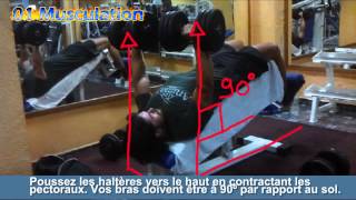 Exercice de musculation des pectoraux développé décliné haltères [upl. by Anis865]