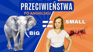 Przeciwieństwa po angielsku CZ 1  Opposite words  angielski dla dzieci [upl. by Launame800]