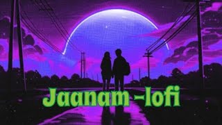 Jaanam lofi ll slowed amp reverb ll2024 best vicky amp tripti s song ll [upl. by Kravits]