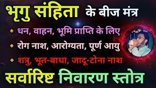 Sarvarishta Nivaran Stotra  सभी बाधाओं के निवारण के लिए  सर्वारिष्ट निवारण स्तोत्र  भृगु संहिता [upl. by Manno]