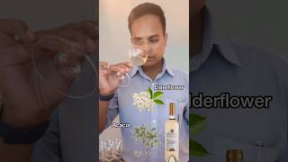 White wine tasting  Bottega pinot grigio winetasting wineeducation winelovers [upl. by Alyehs]