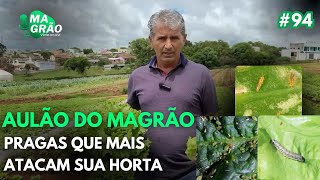 AULÃO DO MAGRÃO  PRAGAS QUE MAIS ATACAM SUA HORTA  MAGRÃO VÍDEOCAST 94 [upl. by Eural749]