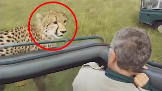 12 Times African Safari Trips Went Horribly Wrong [upl. by Liris841]