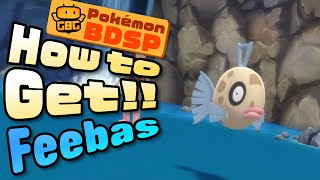 Pokémon BDSP  Feebas How to Get and Basic Stats [upl. by Margetts]