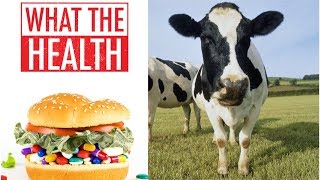 Beef Magazine Debunks What The Health [upl. by Irap]