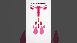 What is mensurationperiods lifechangingperiodforgirls mensturalcycle mensurationclass8 blood [upl. by Trebor]