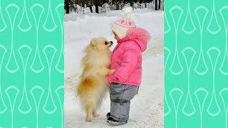 Pomeranian puppy and Baby attracting each other  Cutest Puppies and babies Videos [upl. by Ttiwed23]