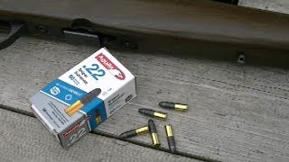 Aguila 22 Sniper Subsonic Ammo Test [upl. by Thomasin]