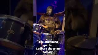 quotCadbury Gorillaquot Phil Collins Cadbury World Chocolate factory choclate explore [upl. by Akkin948]