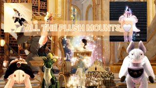 GW2  Guild Wars 2  SotO Maps All my Plush Mounts 🤍  Settings  1080p [upl. by Lauder]