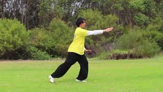 Perth Tai Chi Academy Tai Chi for Arthritis 1 TCA 1 front demo [upl. by Jerrome722]