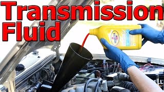 How to Change Automatic Transmission Fluid and Filter COMPLETE Guide [upl. by Inod996]