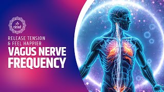 Feel the Benefits of Vagus Nerve Frequency  Release Tension amp Feel Happier  741 Hz [upl. by Aniuqahs]