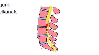 Behandlung einer Spinalkanalstenose by ATOS Kliniken [upl. by Breanne664]