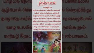 THIRUPAVAI SERIES PASURAM 4 [upl. by Akem]