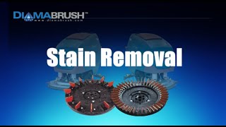 Diamabrush Stain Removal Training Video [upl. by Coonan]