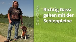 Gassi gehen ➡️ Richtig Gassi gehen mit der Schleppleine ➡️ Praxisvideo ✔️ [upl. by Nerita]