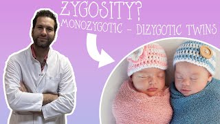 WHAT IS ZYGOSITY MONOZYGOTIC amp DIZYGOTIC  Human Fertilization [upl. by Atig]