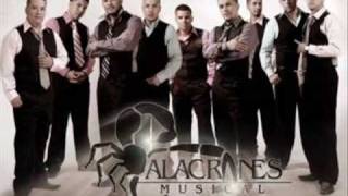 Alacranes Musical Ft Espinoza PazComo Una Gelatina 2009Completa [upl. by Kape]