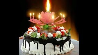 Sal bhar me sabse pyara hota hai ek dinHappy Birthday Song whats aap status by juli parween [upl. by Enyalahs]