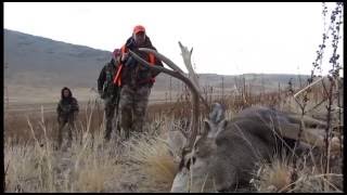 40quot Mule Deer from Antelope Island  Denny Austad  MossBack [upl. by Eicul21]