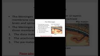 ►Layers Of Meninges [upl. by Ettenoitna]