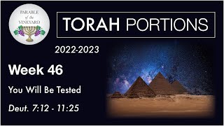 Torah Portions  Week 46  You Will Be Tested  Deuteronomy 712  1125 2223 [upl. by Ahtnammas]