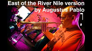 Live Looping amp Trumpet Improv on East of the River Nile version by Augustus Pablo [upl. by Longley]