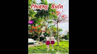 “Phượng Buồn” [upl. by Truitt480]