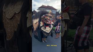 Ngelawang Barong adalah Kebanggaan anakanak Bali [upl. by Natanoy]