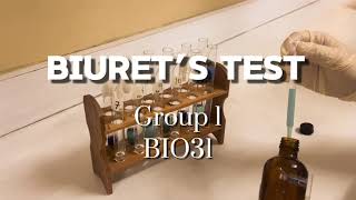 Biuret’s Test  Qualitative Analysis of Proteins [upl. by Dinesh]