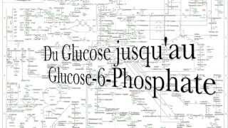 Glycolyse  Cycle de Krebs Thrift ShopMacklemore Parodie [upl. by Fortune877]