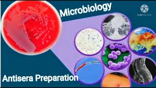 Antisera preparation part 1Microbiology exams mcqs [upl. by Ylrebmyk]