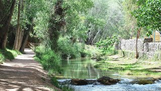 Conoce Chelva a través de la Ruta del Agua MediterráneoEnAcción [upl. by Pilar]