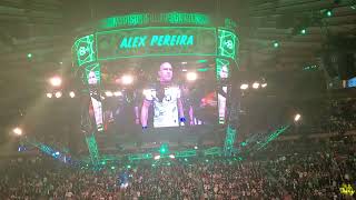 UFC 295 Alex Pereira Entrance vs Jiri Prochazka 111123 MSG [upl. by Ainevuol381]