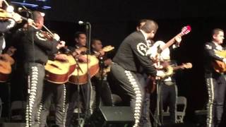 Mariachi Vargas y Mariachi Nuevo Tecalitlan Violin Huapango [upl. by Corissa]