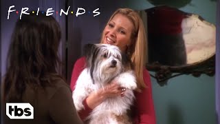 Chandler Doesn’t Like Dogs Clip  Friends  TBS [upl. by Rhody]