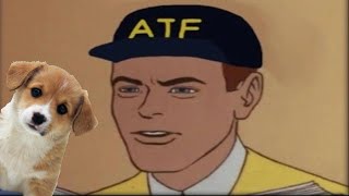 The ATF In A Nutshell [upl. by Annahsed]