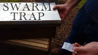 SUPER EASY Bee Trap 🐝🐝🐝 [upl. by Assed288]