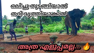 ഒലിവിൽ ദാസപ്പന്റെ തറി വൃത്തിയാക്കൽ കുറച്ചു കട്ടിയാണ് 🔥🔥Thechikottukavu Devidasan [upl. by Sibyls142]