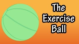 What Is An Exercise Ball  How To Use An Exercise Ball  Exercise Ball Exercises For Beginners [upl. by Winou67]