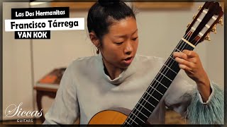 Yan Kok plays Las Dos Hermanitas by Francisco Tarrega on a 1978 Robert Ruck Classical Guitar [upl. by Nosretep]