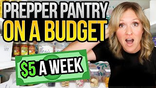 Prepare your Food Storage How to Stock Your Prepper Pantry for Only 5 a Week 2023 [upl. by Gawlas32]