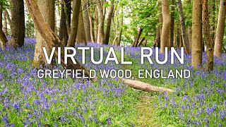 Virtual Run  Greyfield Wood in Spring  Treadmill Running Scenery [upl. by Marcy]