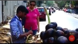 Taal Fruit Or Taal Saas AKA Taar Gola  Summer Season Street Food Of Mumbai Maharashtra India [upl. by Novel513]