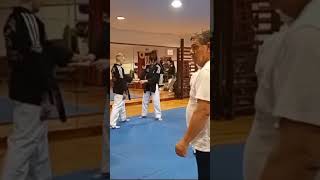 Heuk Choo Martial Arts Master Moo Jin hapkido gondomar masterjosedo artesmarciais heukchoo [upl. by Yruam]